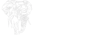 Ekstrem Furkan 21 Yapı